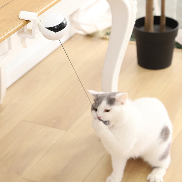 Interactive Cat Toy Yo-Yo Electric Ball Teaser